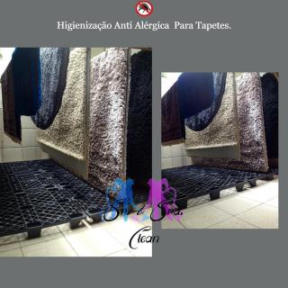 Lavagem de Tapete Higienização Limpeza de Estofados Serviço de Lavagem de Móveis Lavagem a Seco de Cadeiras