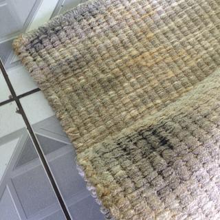 Tapete com Mofo Serviço de Limpeza de Móveis de Tecido Higienização de Estofados de Tecido